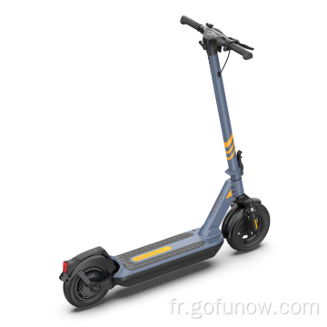 Scooters électriques pliables 36V 350W